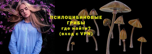 гашиш Дмитров
