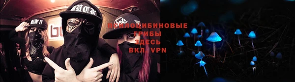 прущая мука Дмитриев