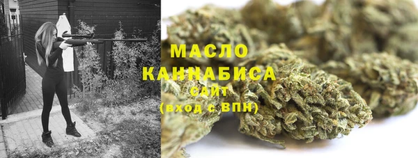 прущая мука Дмитриев