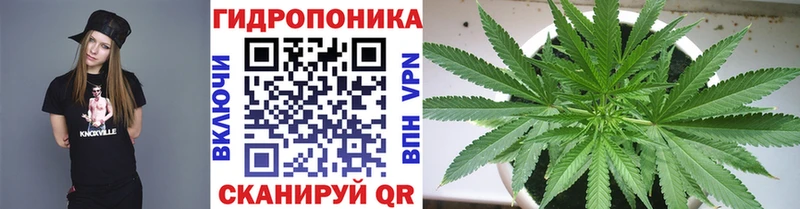 Купить закладки  Всеволожск  Шишки марихуана гибрид 